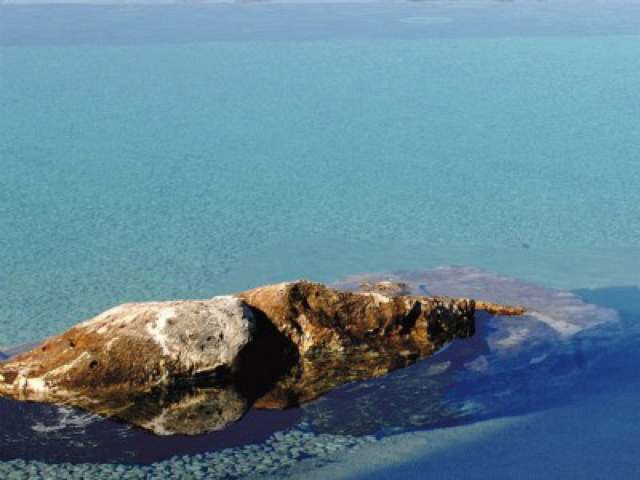 piscine naturali